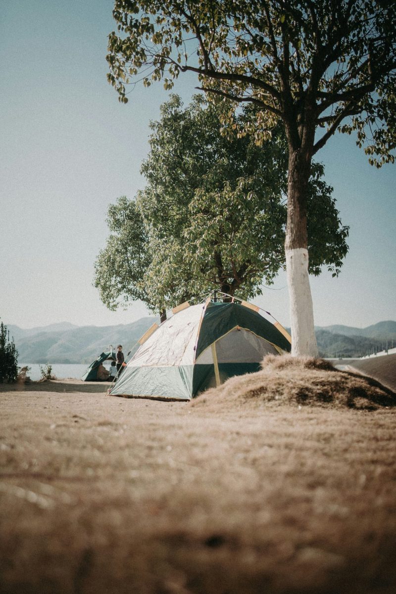 Wohnmobil am Strand der Costa Brava mit Palmen und blauem Meer