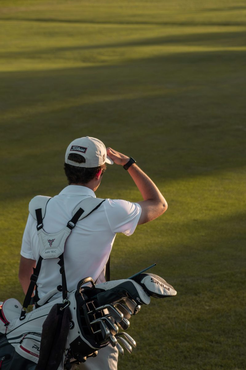 Golfplatz mit Zebras im Hintergrund und Blick auf afrikanische Landschaft