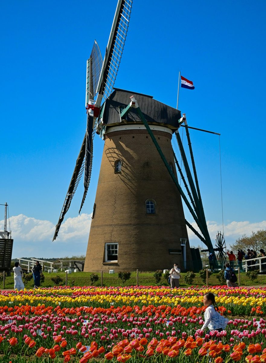 Familie fährt Fahrrad auf einem Weg durch die Dünen an der Nordseeküste